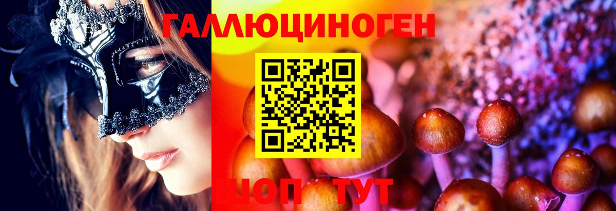 Галлюциногенные грибы прущие грибы  Вход с VPN  Черняховск 