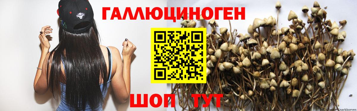 Псилоцибиновые грибы GOLDEN TEACHER Черняховск